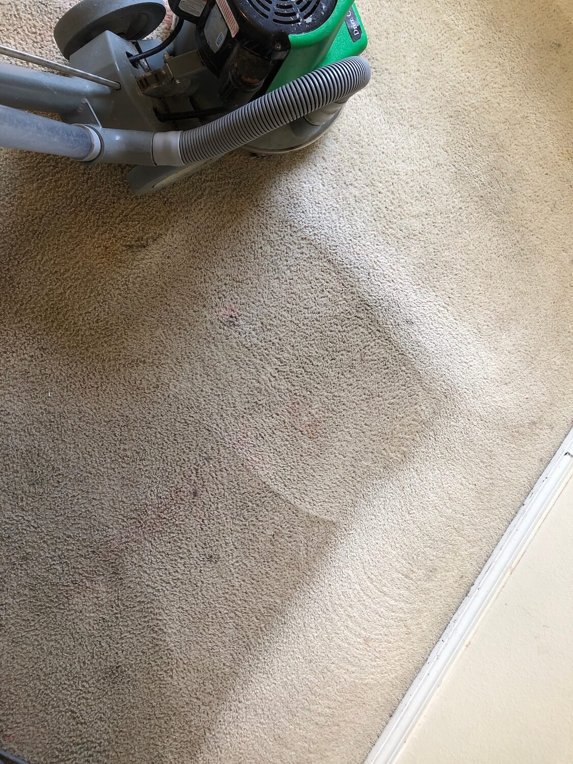 chem-dry carpet cleaning