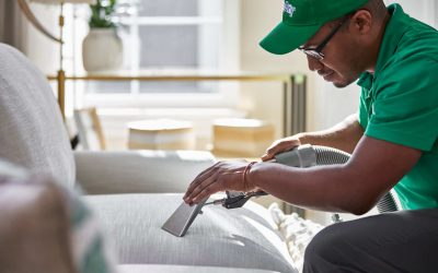 Keep Your Home Healthier This Allergy Season With Mr. Chem-Dry