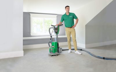 Fast-Drying Carpet Cleaning for Active Households in Layton